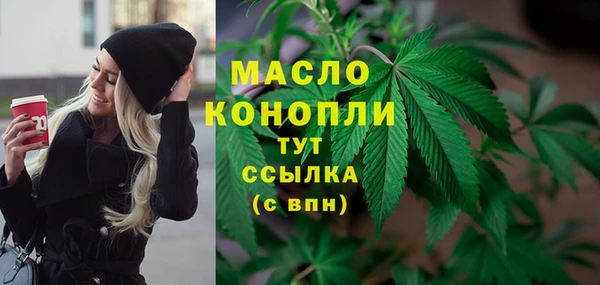 прущие грибы Корсаков