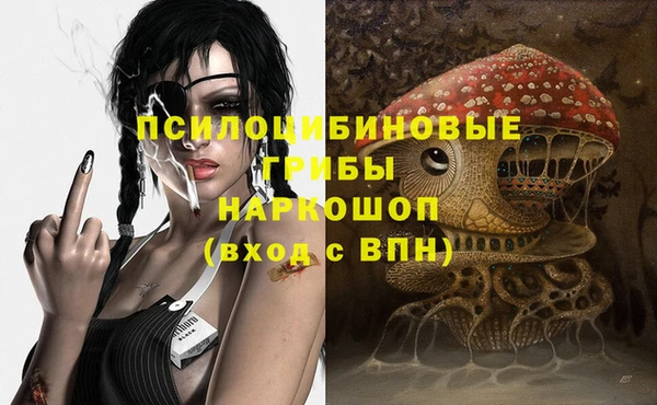 прущие грибы Корсаков