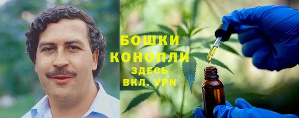 шишки Козельск