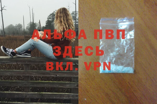 PSILOCYBIN Козловка