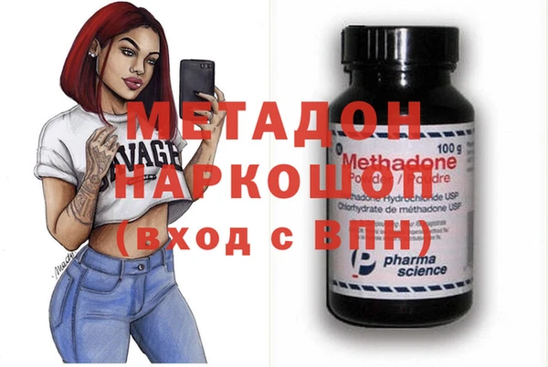 прущие грибы Корсаков