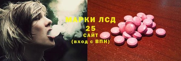 прущие грибы Корсаков