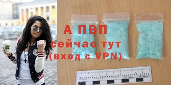прущие грибы Корсаков