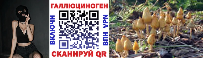 Купить где  Зеленодольск  Галлюциногенные грибы Psilocybine cubensis 